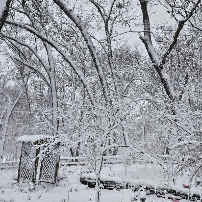 Snow blankets a backyard in Wilmington, Illinois on the morning of Friday, January 12, 2024
