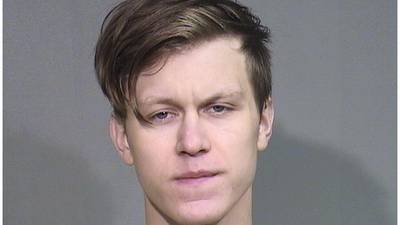 Man pleads guilty to killing cat, abusing woman in Harvard after 2023 Super Bowl