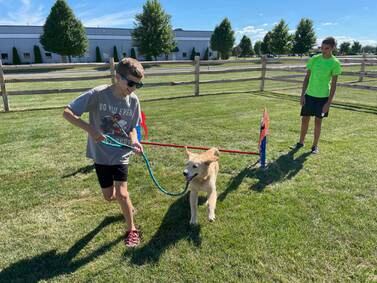 Oswego’s Happy Tails dog park opens; nearly 60 dogs already registered to play