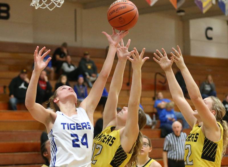 Princeton's Keighley Davis tips the ball away from Putnam County's Chloe Parcher during the Princeton Holiday Girls Basketball Tournament on Tuesday, Nov. 19, 2024 at Princeton High School.