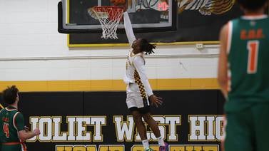 Holiday tournaments highlight Herald-News area boys basketball schedule