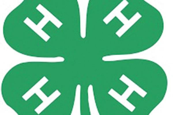 Lee County Kids in the Kitchen program wraps up a successful third year