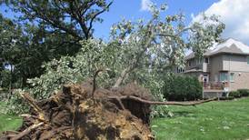 More tornadoes confirmed from storm that hit Will, neighboring counties