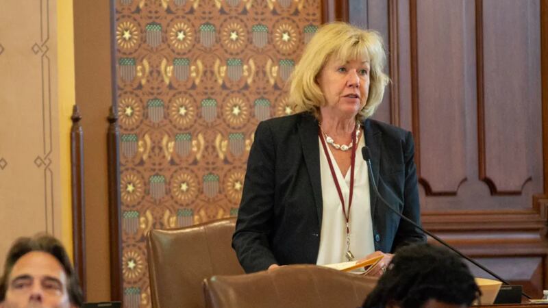 Illinois Senate advances bills requiring more insurance for boaters, protections for mobile ID users