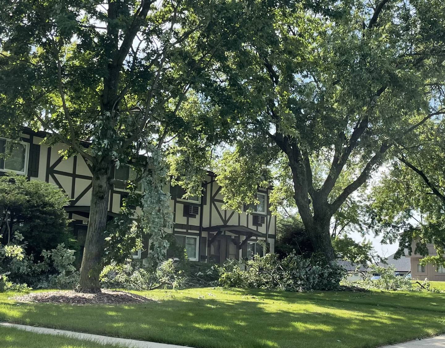 Large tree branches lie on the ground at the Lockport South apartments in Lockport on Tuesday,. July 16, 2024.  Several large branches and smaller ones were found scattered in streets and yards around Lockport following intense storms on Monday night across Will County.