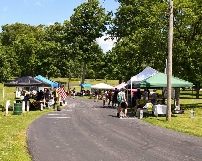 Event-goers browse offerings and informational booths set up on Sunday, June 22, 2025, at Hopkins Park in DeKalb for the annual Juneteenth Community Celebration.