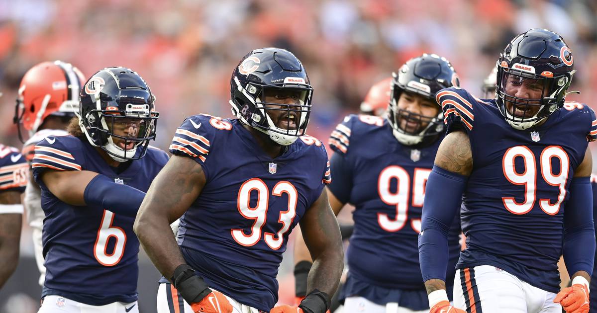 Shaw Local’s 2022 Bears report card Defensive tackle Shaw Local