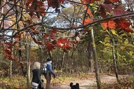 Eye On Illinois: Park gets cash infusion; sports bets down and up; remember 27 time zones?