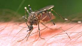 Bureau County crow tests positive for West Nile virus