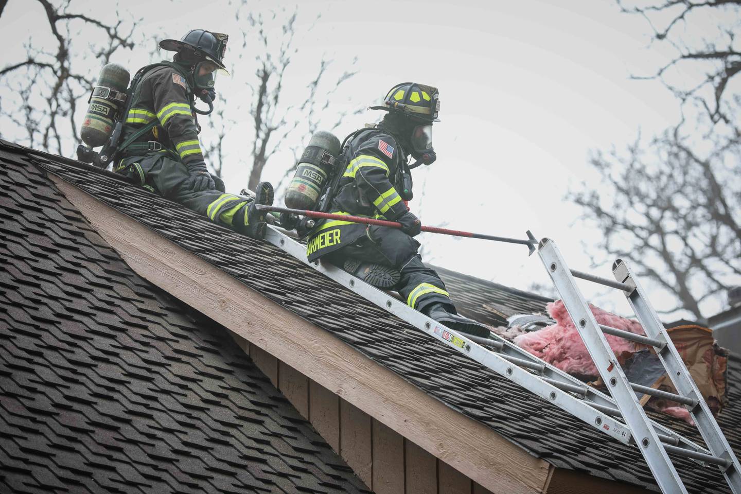No injuries were reported and two dogs escaped unharmed in a house fire that broke out on Jan. 8, 2024 in Trout Valley while occupants were not home, officials report.