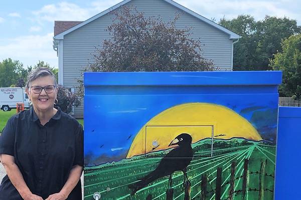 DeKalb artists plug into their creativity with utility box murals