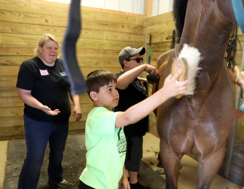 Finn, 8, and Gavin Murtaugh, 10, of Batavia groom Graham, a therapy horse, as owner Britt Lerdal looks on during a day camp at the Happy Hooves Therapeutic Farm in Elburn on Monday, June 27, 2022.