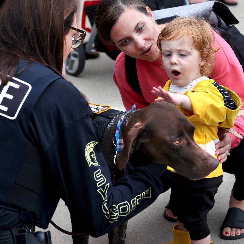 Erik Rude, 1, and his mom Laura, from Sycamore, meet Dooley and his handler officer Kaitlyn Pederson from the Sycamore Police Department Tuesday, Aug. 6, 2024, during National Night Out in the Hy-Vee parking lot in Sycamore.