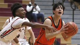 Boys basketball: The 2023-24 All-Fox Valley Conference team