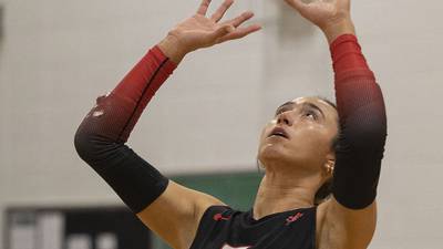 Three Sauk Valley Skyhawks earn all-region