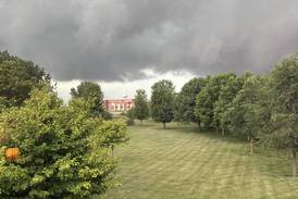 Lake in the Hills Ribfest called off for Thursday; flood watch, downed trees reported in McHenry County area