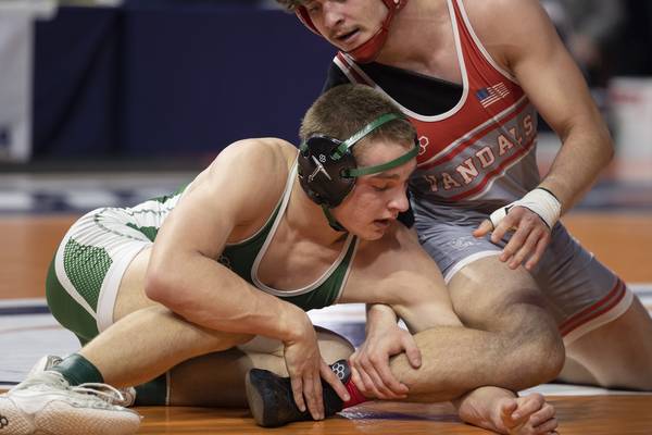 2026 Daily Journal All-Area wrestling team