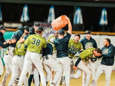 Join the Kane County Cougars and celebrate America’s game