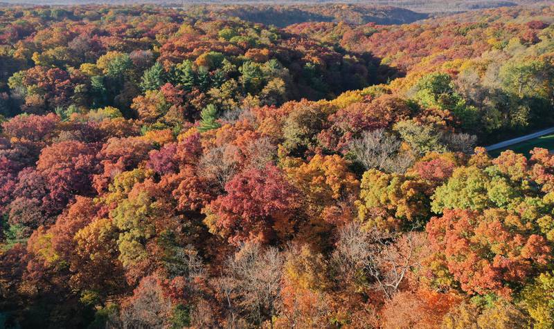 An aerial view of the fall colors over Matthiessen State Parkon Thursday, Oct. 24, 2024 near Oglesby. Aerial photos were taken with permission through Matthiessen State Park.