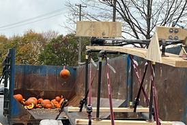 Down the Garden Path: How to Safely dispose of old Pumpkins after Halloween