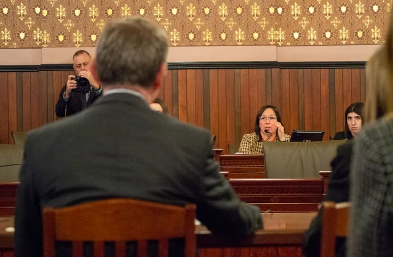 State Sen. Cristina Castro is pictured in a Senate Executive Committee hearing last year in Springfield.