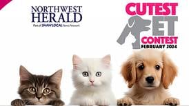 McHenry County's February 2024 Cutest Pet Contest
