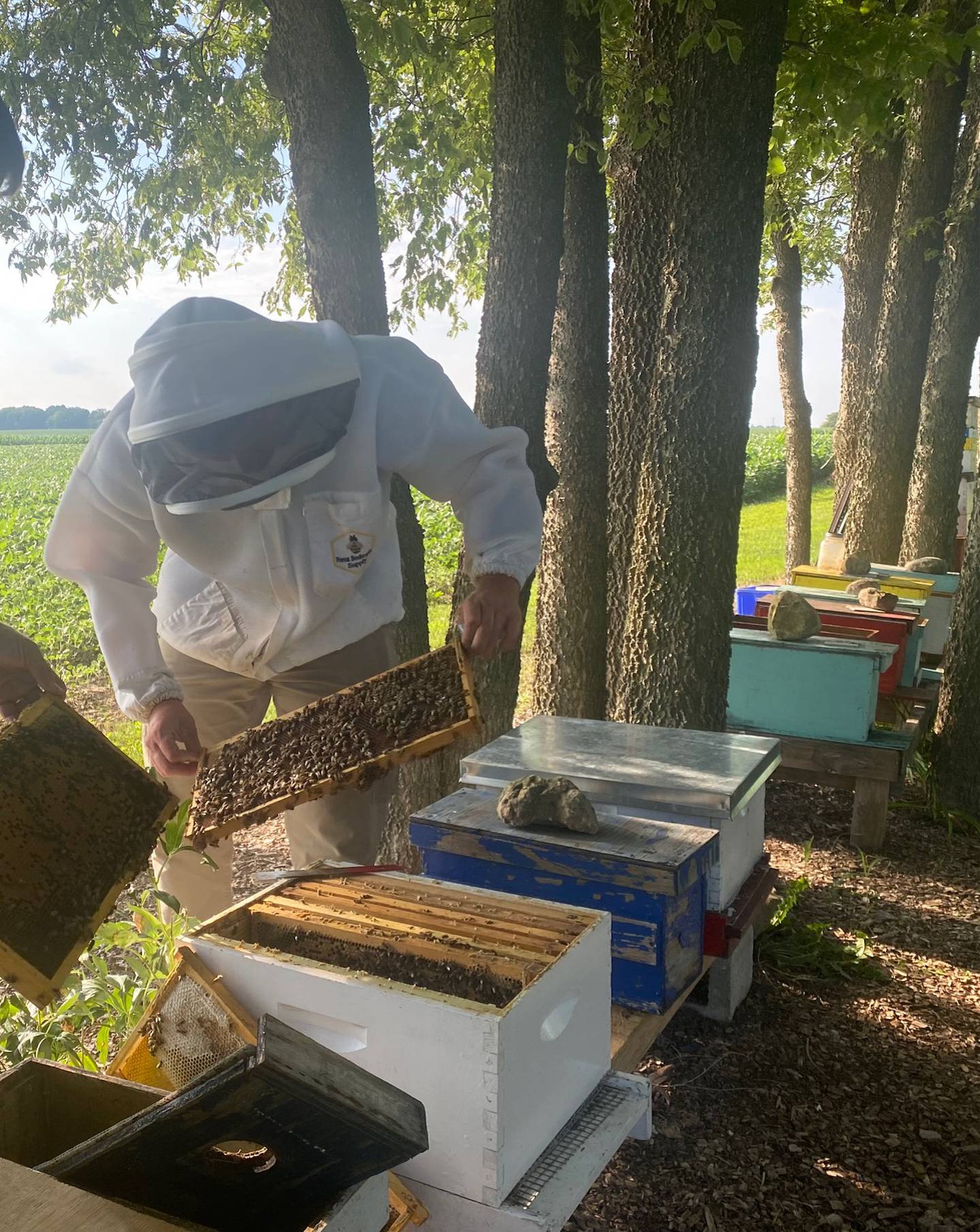 Aiden Lawyer shows off his family honey bees at Half Mile Farm in Morris.