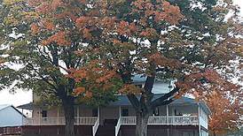 Welcoming autumn with zucchini cake, cowboy coffee, pumpkin spice and other fall comforts