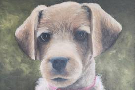 St. Charles Arts Council to host reception for student artists 