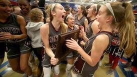 Top Sports Stories of 2020 in the Suburban Life area