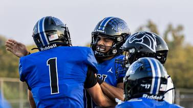 Jonas Williams breaks IHSA career passing TD record, Lincoln-Way East rolls past Metea Valley