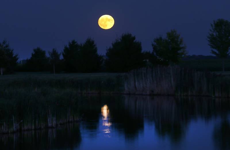 A full supermoon shines over the lake at Zearing Park on Wednesday, Aug. 30, 2023 in Princeton. A supermoon occurs when the moon is it's closest point in it's orbit around Earth. During this occurrence, the moon looks slightly larger-than-it's usual appearance. According to NASA, this supermoon was 222,043 miles from Earth or 17,000 miles closer than the average normal full moon.The first full Moon came on August 2 and the second one on August 30.