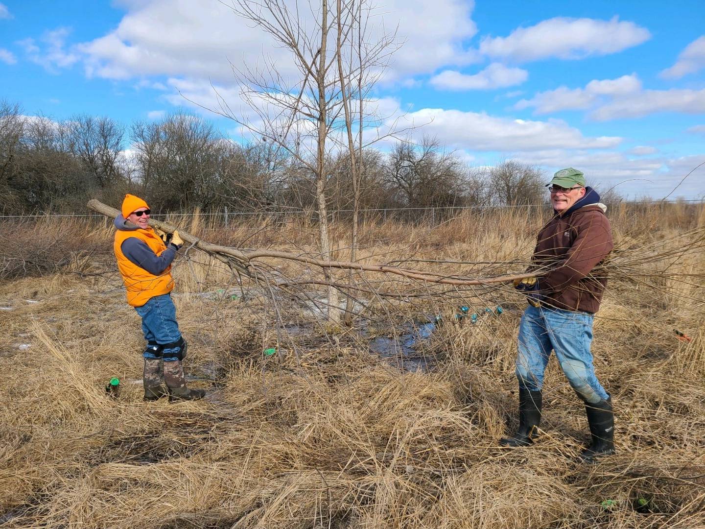 Forest Service Volunteer John Poelking (left); and Paul Schiesinger carry away an Osage orange tree from the Grant Creek restoration area at Midewin National Tallgrass Prairie. Volunteers with specialized training in invasive species management techniques have made strides in maintenance in the area since early December 2021.