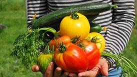 Grow your own groceries: Home gardens gaining popularity to fight higher food costs 