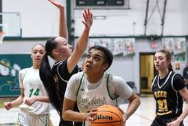 Photos: Class 2A Bishop McNamara Regional semifinals, girls basketball