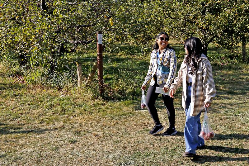 Mayra Mendez, of Zion, and Alex Biswas, of Chicago, talk while walking through the orchard to pick apples on Thursday, Oct. 10, 2024, at the Royal Oak Farm Apple Orchard in Harvard.