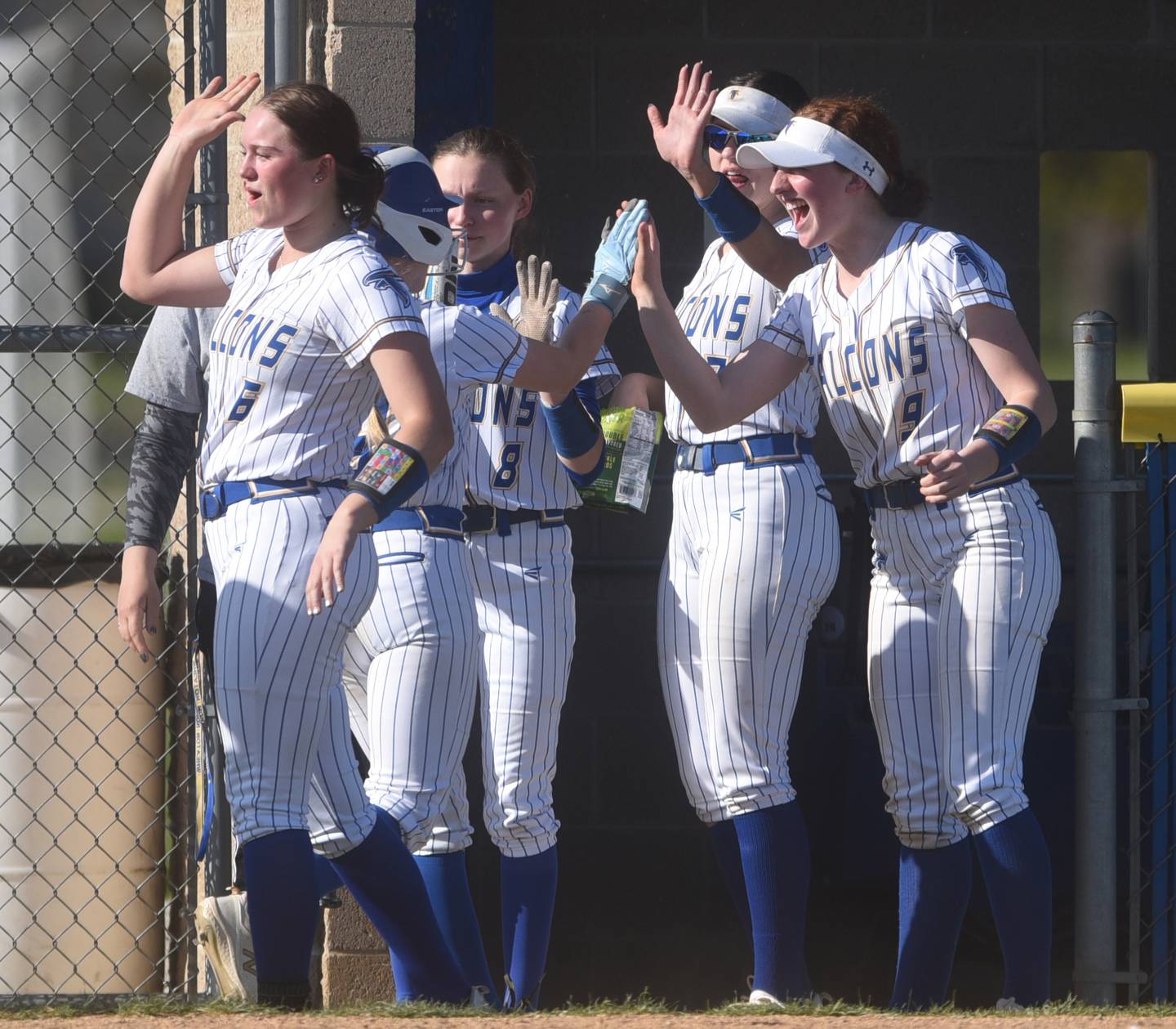 Wheaton North's from left Erin Metz, Ava Hartnett, Annie Sullivan and Monica Kading high-five teammates after they scored against St. Charles North during Wednesday’s softball game in Wheaton.