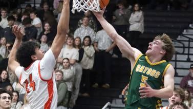 Boys basketball: 2026 Northwest Herald All-Area team