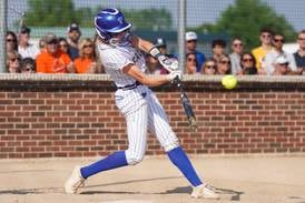 Wheaton North senior Reagan Crosthwaite leads Suburban Life-area All-State softball picks