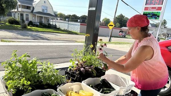 Farmers market in Polo offers fresh veggies, meat and more