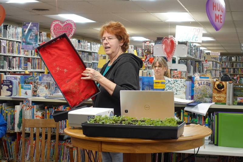 Master Gardener, Robbin Keenan, demonstrates seed techniques at the Seed Starting workshop.