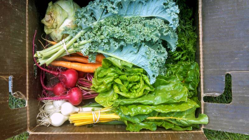 A harvest dinner on Sept. 28 in DeKalb will feature produce grown in DeKalb County by DeKalb County Community Gardens and Montalbano Farms of Sandwich.