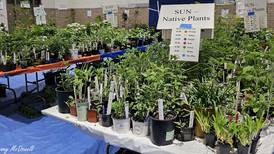 Batavia Plain Dirt Gardeners host annual plant sale