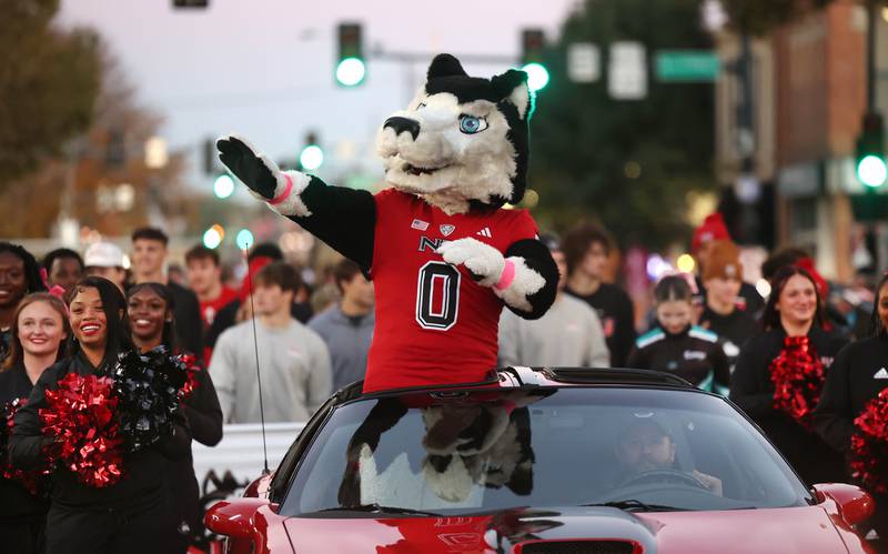 Northern Illinois University mascot Victor E. Huskie rides through downtown DeKalb in style Thursday, Oct. 17, 2024, during the parade at the Huskie Homecoming Block Party.