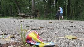 Streator community cleanup set for parks and public areas on Sept. 18