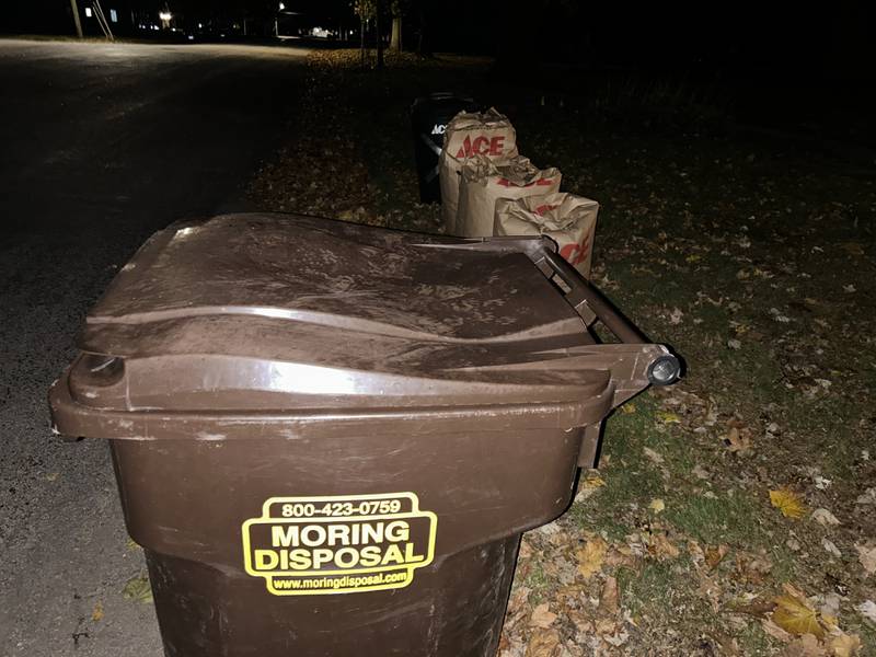 A waste tote and yard waste bags sit along the curb in an Oregon street on Tuesday, Nov. 12, 2024.