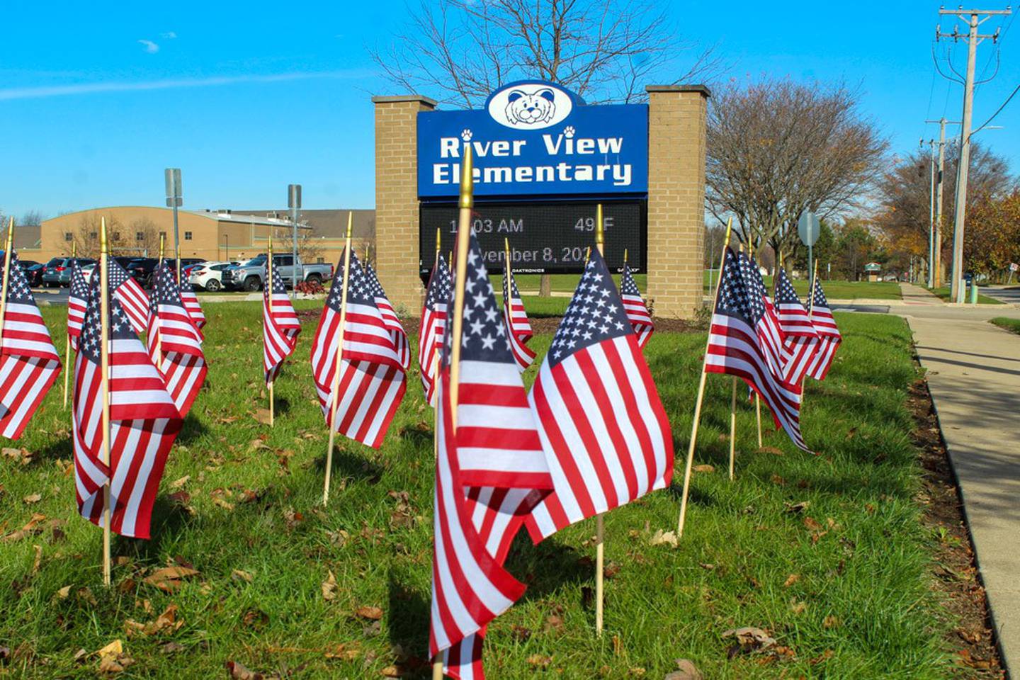Almost 200 flags fly in front of River View Elementary School on Friday, November 8, 2024. Fifth-grader Henry Franzen raised more than $2,000 to put 192 flags and the sign in front of the school for Veterans Day.