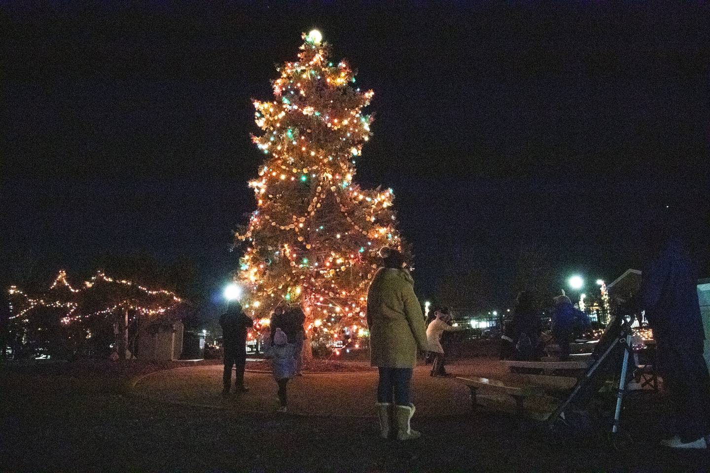 Batavia’s Christmas tree was lit during the Ceremonial Tree Lighting at the Celebration of Lights at the Batavia Riverwalk on Sunday, Dec. 1, 2024.