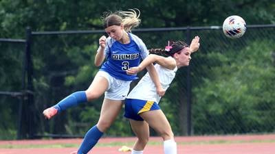 Photos: Johnsburg, Columbia meet in Class 1A girls soccer state championship