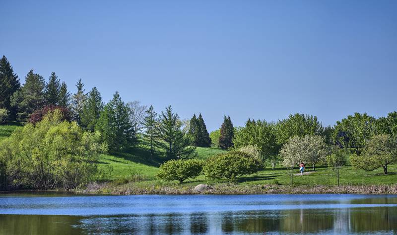 Crabapple Lake at The Morton Arboretum in Lisle